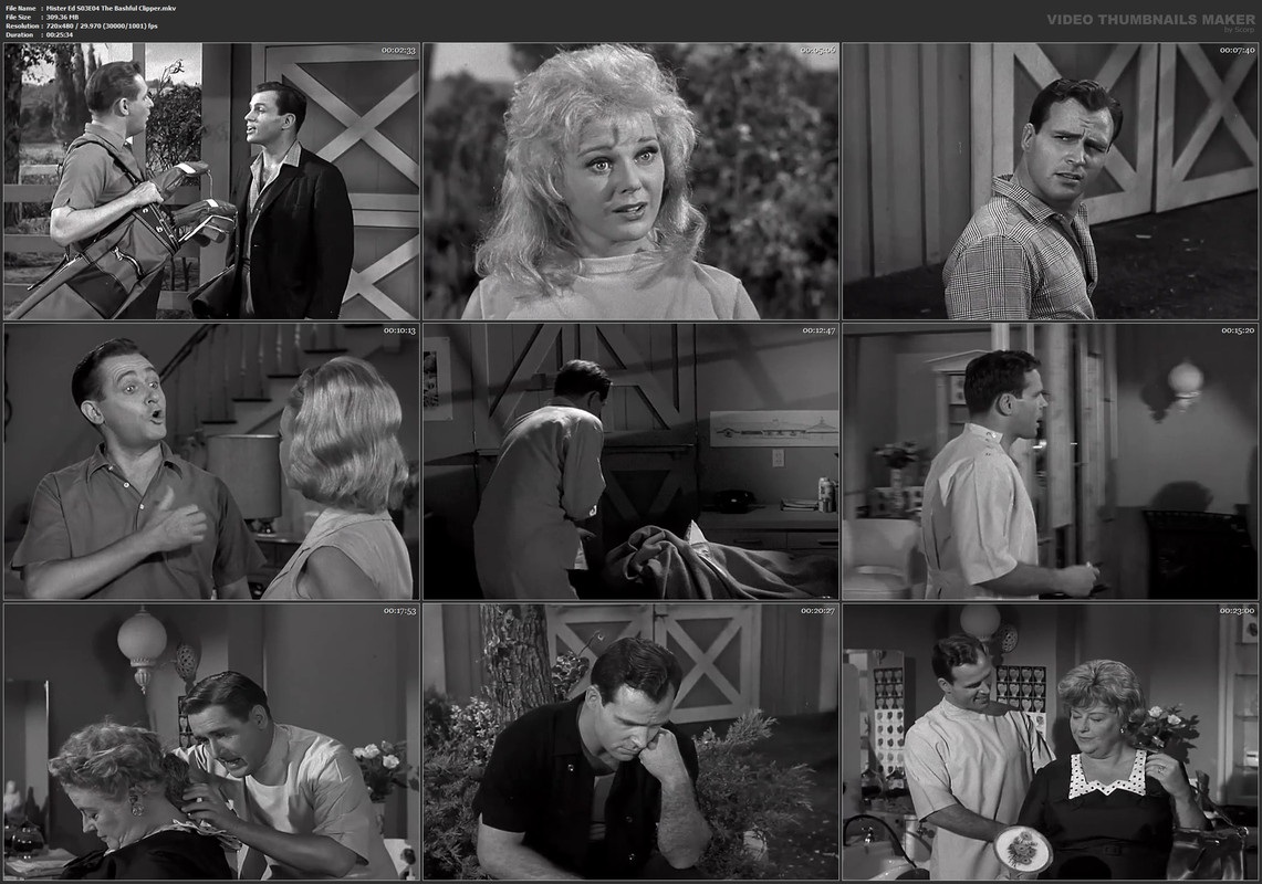 Mister Ed S03E04 The Bashful Clipper.mkv
