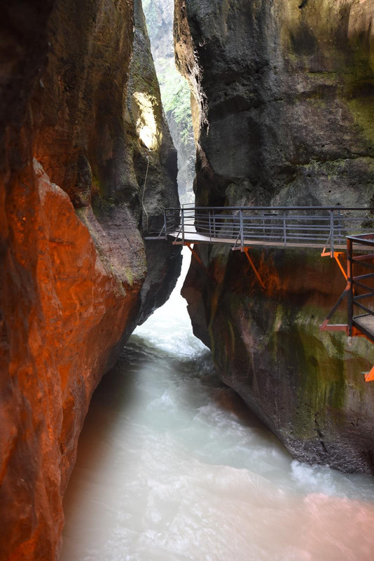 Huyendo del COVID a los Alpes (2020) - Blogs de Suiza - De casa a Grindelwald (Zona de Interlaken) (83)