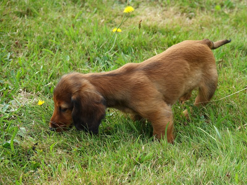 [Image: DSC00908.jpg]