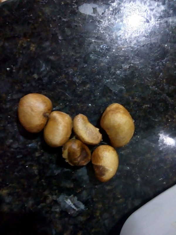 WhatsApp Image 2020-12-20 at 01.12.32 (17)