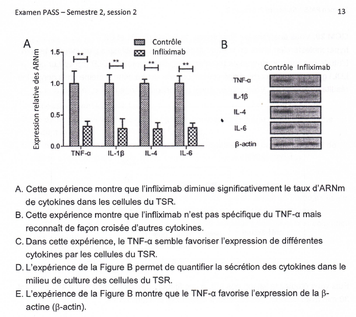 Capture d écran 2026 03 15 140724
