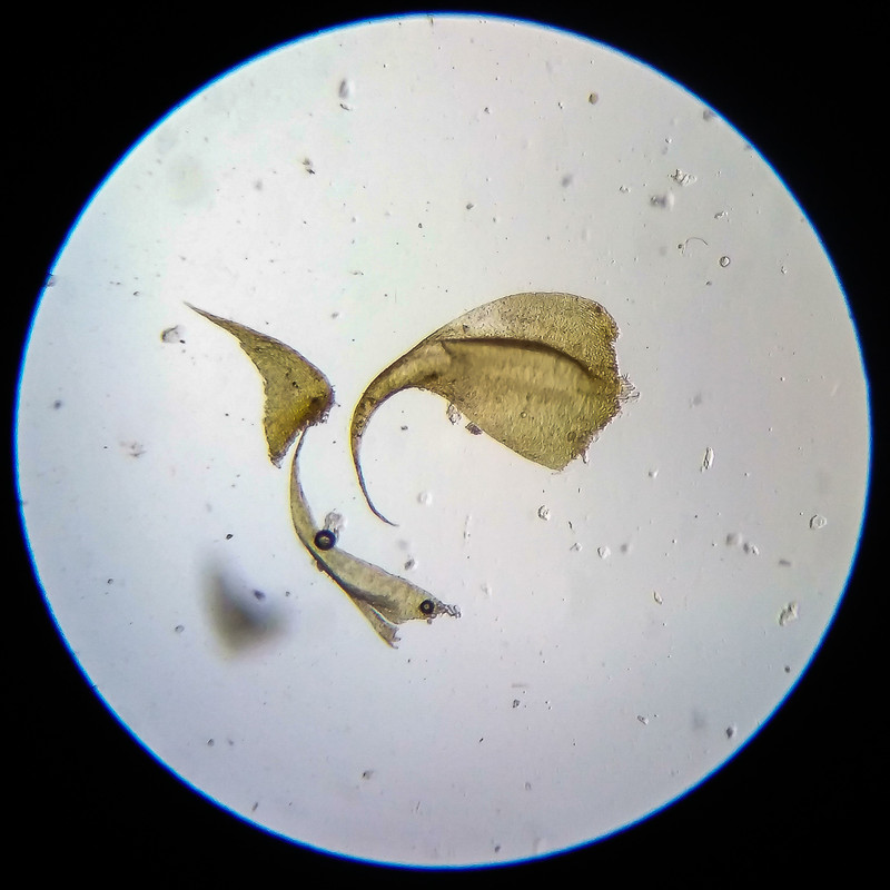 IMG 20250614 203450 HDR