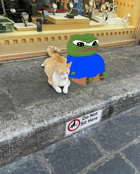 1750554372119443.jpg