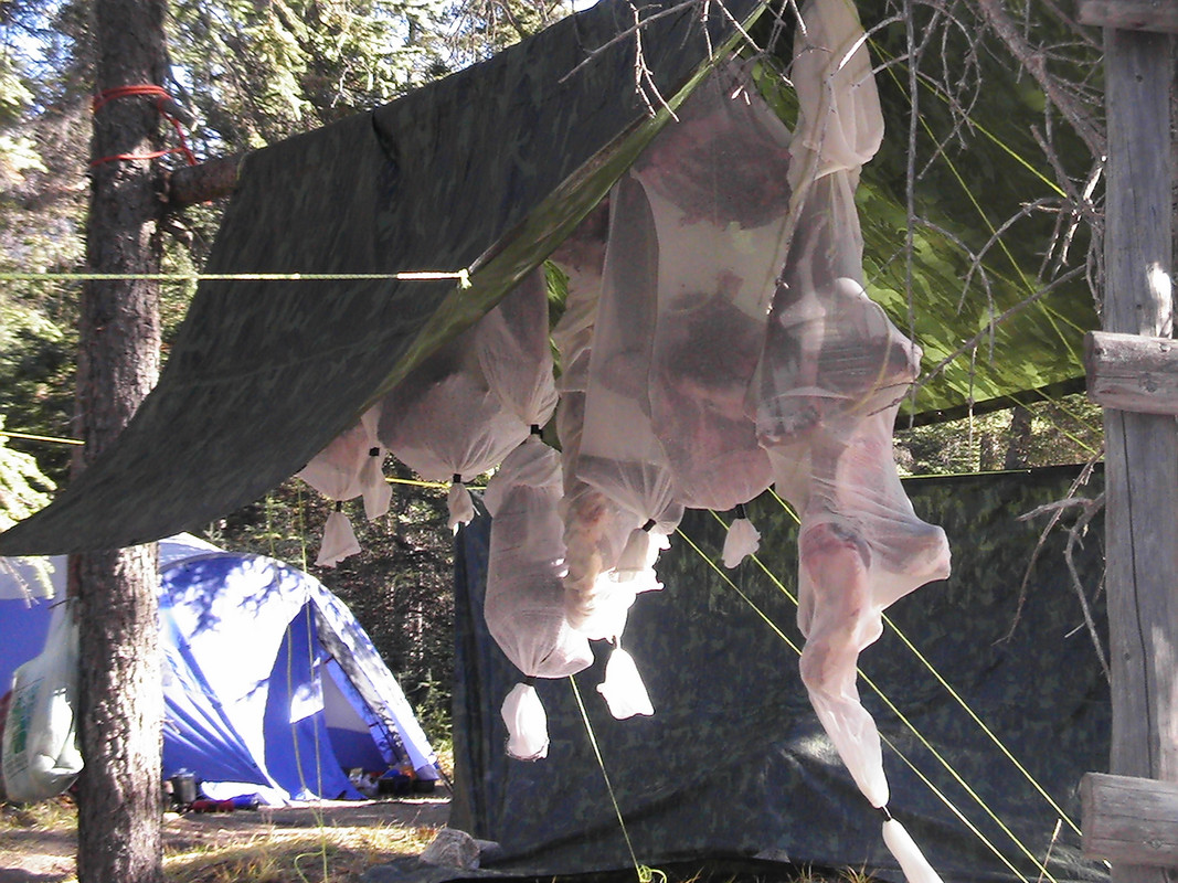 2010 meat