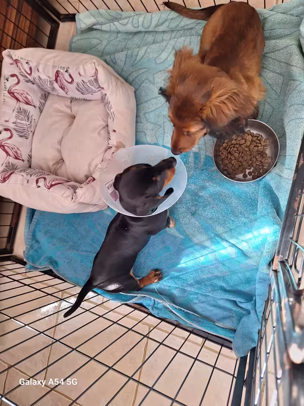 [Image: 20240928-115050.avif]