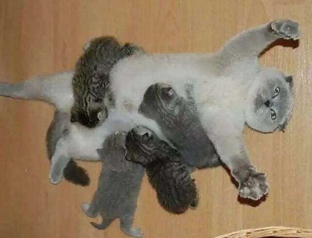picdump-kw34-2025-020.jpg