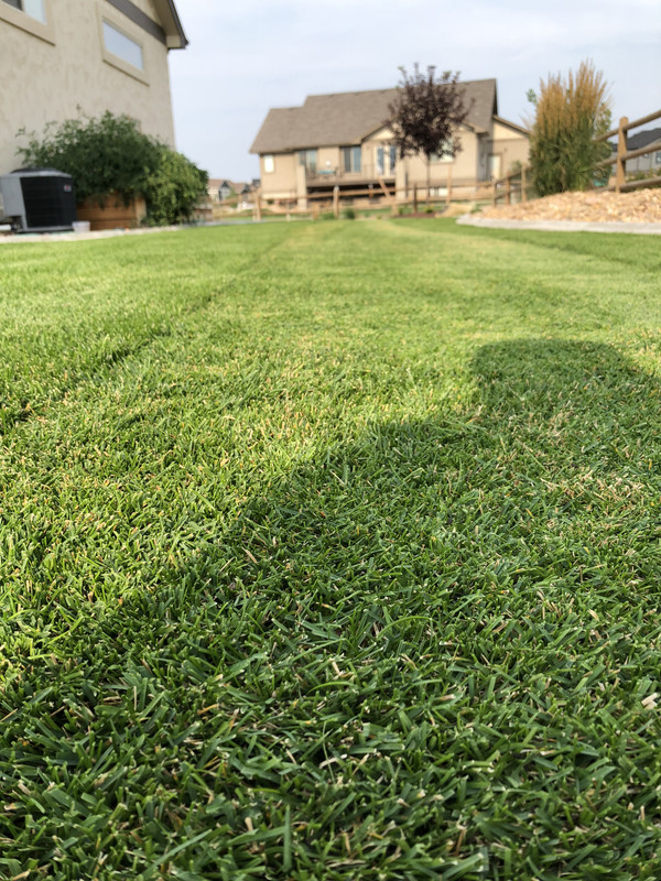 CFFAD528-E7CD-4523-81B2-6A67440A9BF3