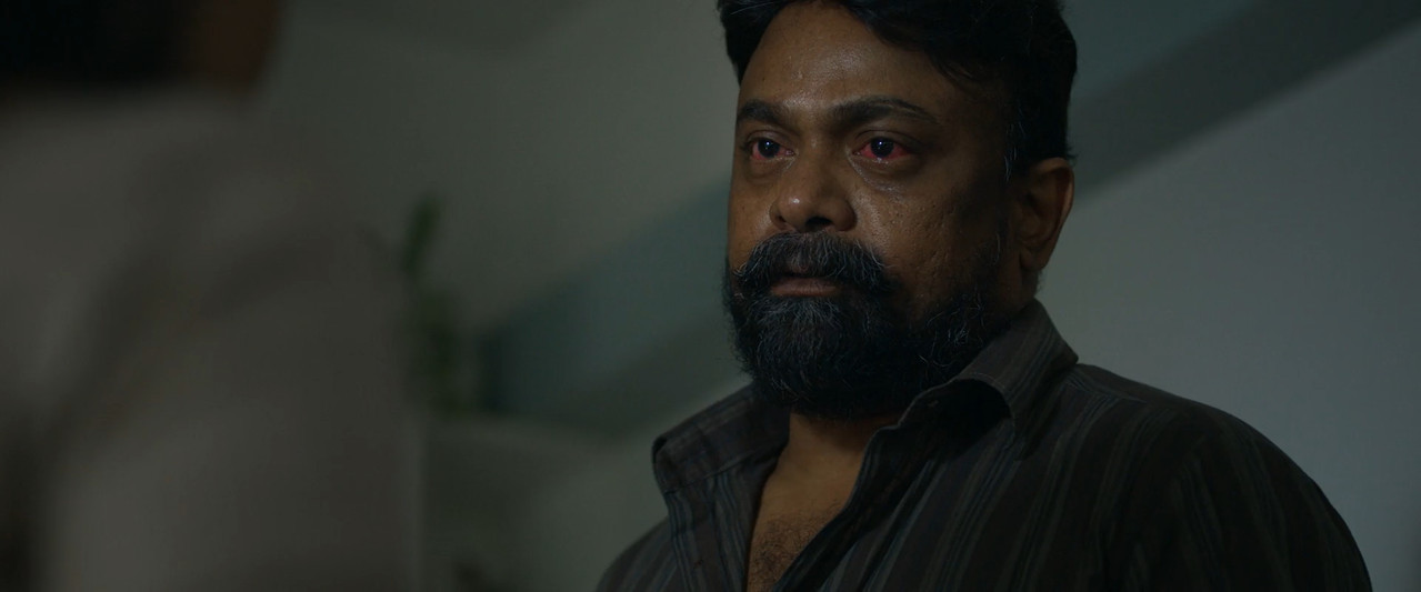 Drishyam 3 2026 WebRip [Tamil + Telugu + Malayalam + Kannada] 1080p 480p 720p ESub Screenshot