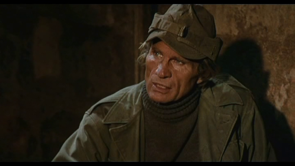 vlcsnap-2024-07-03-16h19m38s101