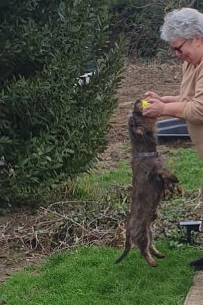 [Image: 20240125-153426.jpg]