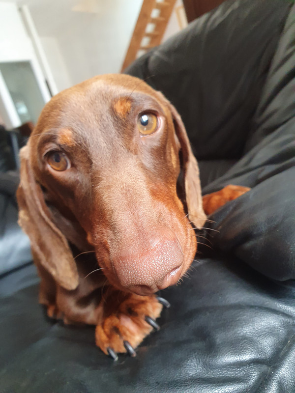 [Image: 20220425-151608.jpg]