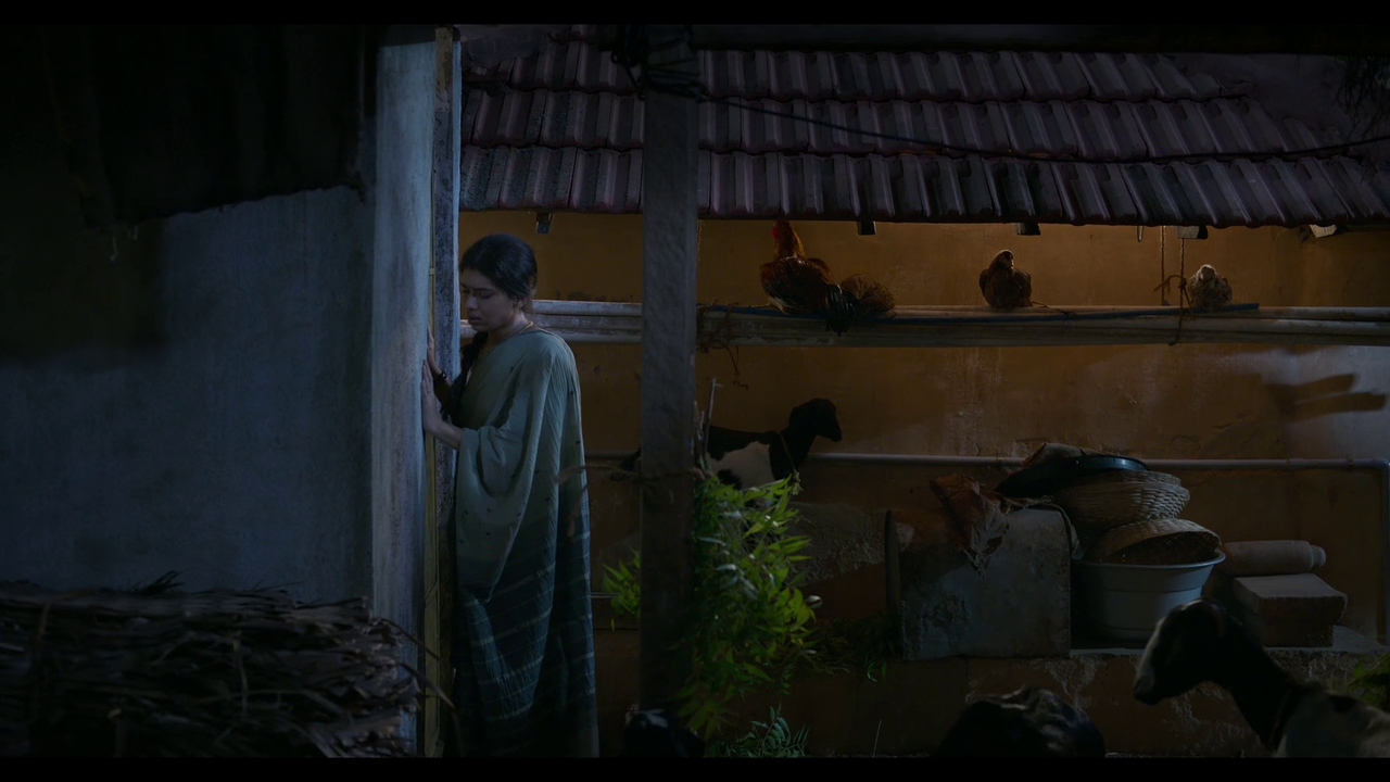 vlcsnap-2025-04-24-21h05m45s360