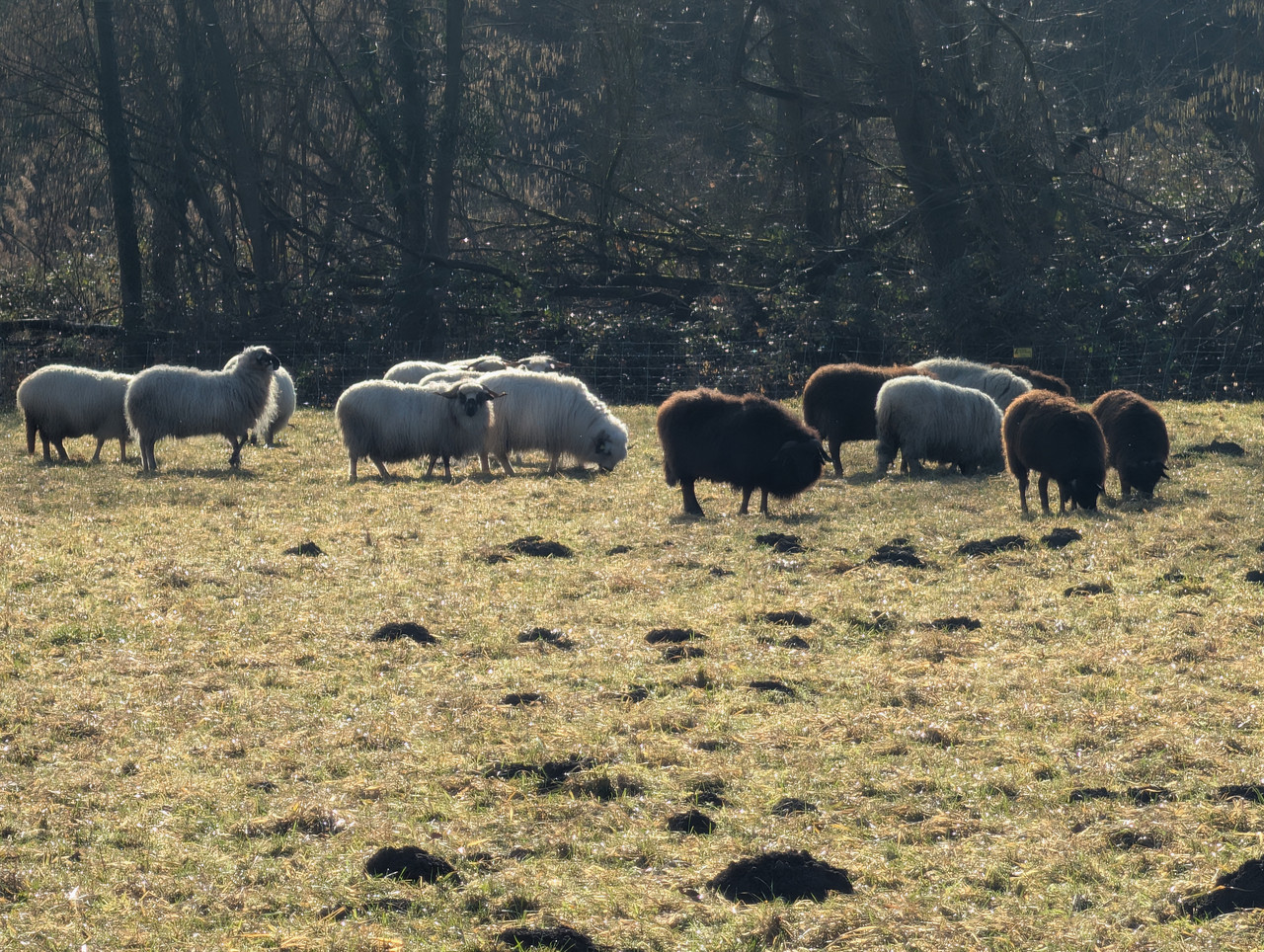 PXL 20260207 093455005