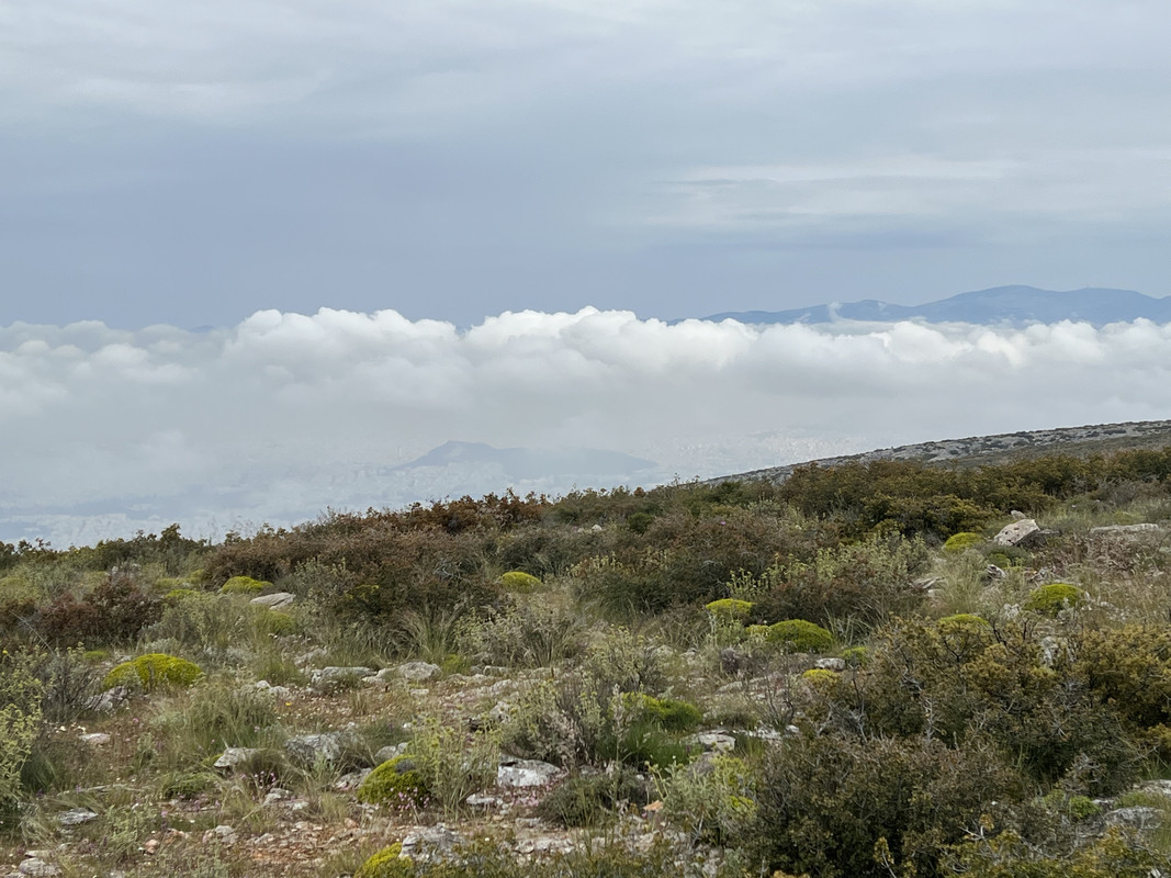 146F7323-BF99-4746-9262-3AD99D00C476