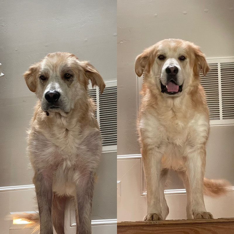 DF5E16A8-C493-48A9-9EF9-EA3AB761A5A0