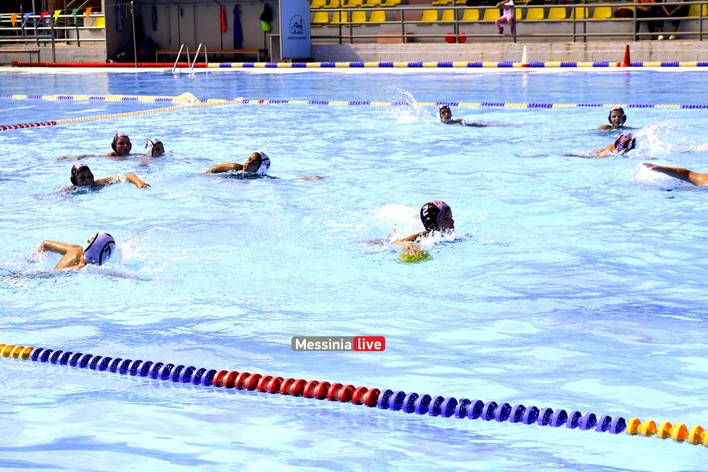 ARGHS-MIKROIDSC-0464