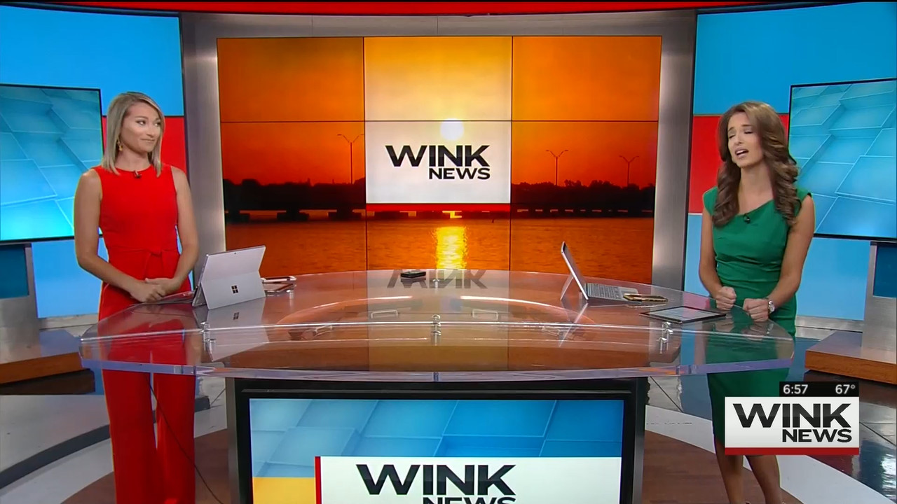 03 May - 11.00.00 - WINK News @ 6 00AM Sunday..ts_snapshot_01.00.37_[2020.05.03_15.58.35]