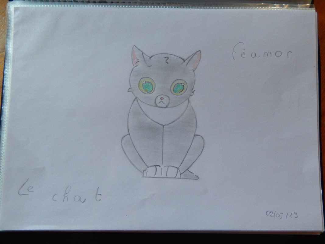 Feanor-le-chat.jpg