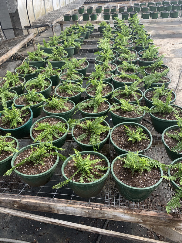 D35A81F6-689F-4DE3-86EC-924B6392EFA6