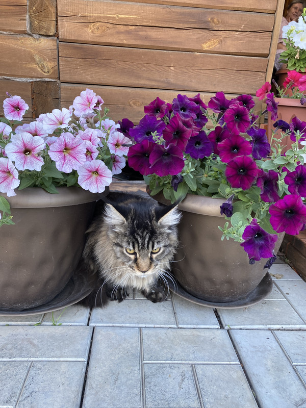 969DA473-60A9-4F00-B656-A952A449F011