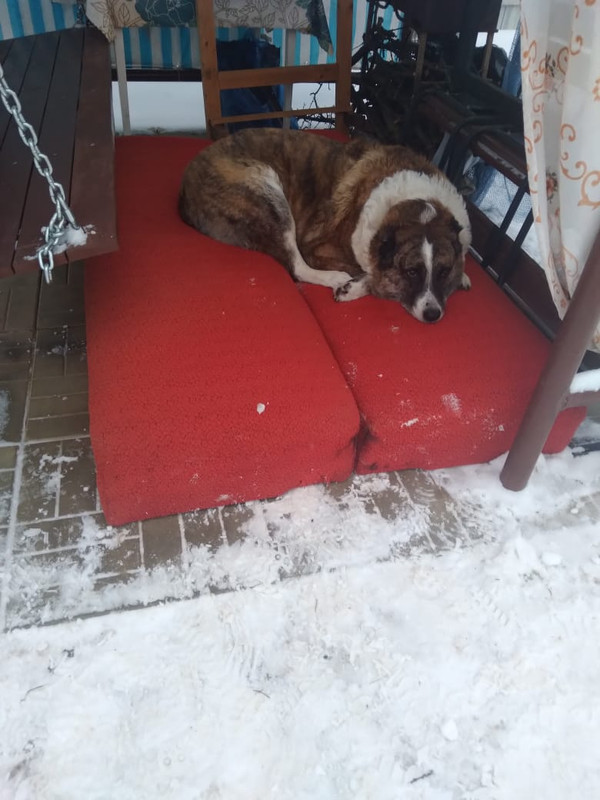 5AB22590-1BC3-43D7-898C-A84E223AA4BC