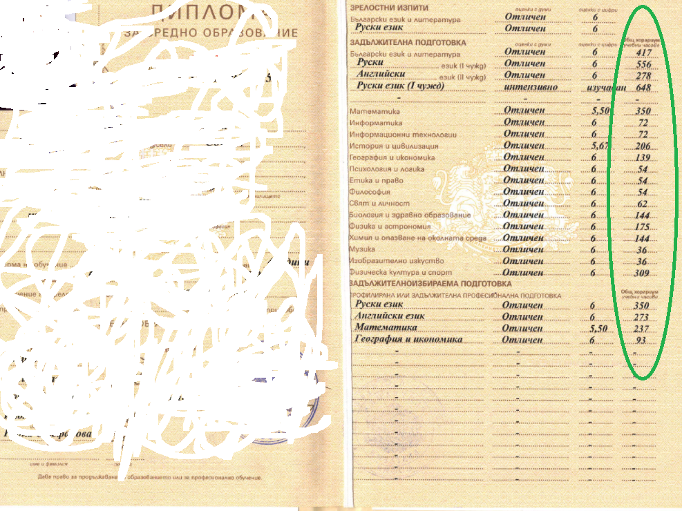 New-Bitmap-Image-7.png
