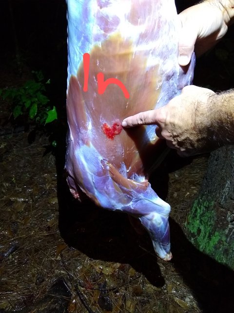 IMG_20201017_213106797~2