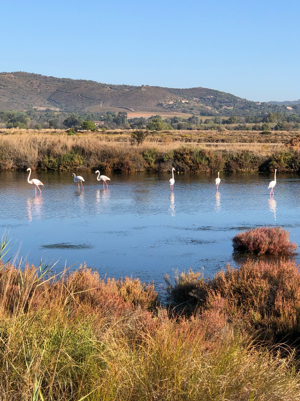 1D9EF2AA-523A-4EC3-81E7-052CCFA74A4A