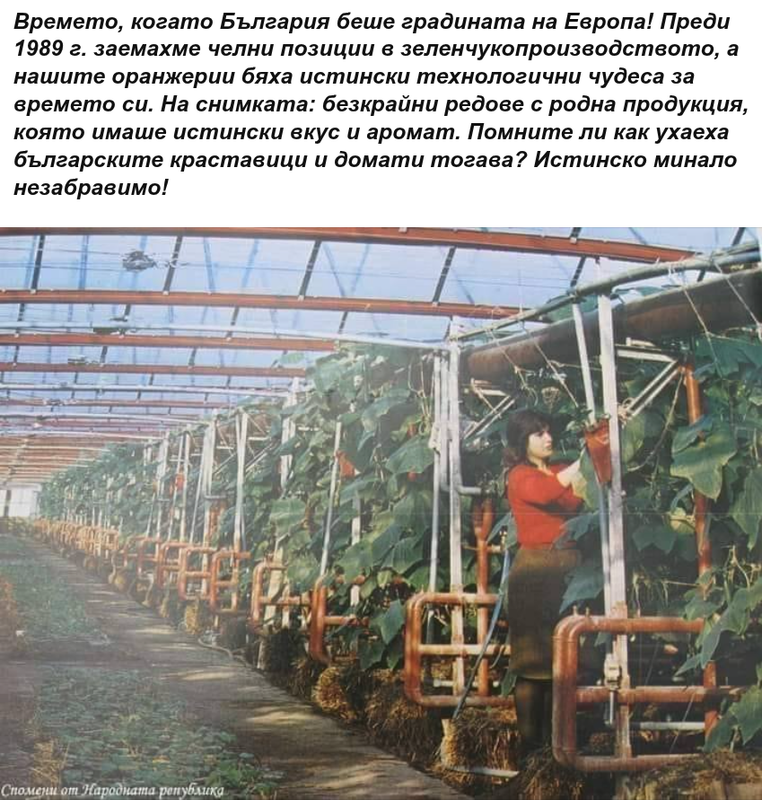 Screenshot-20260316-182217.png