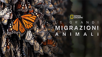 Le grandi migrazioni animali - Stagione 1 (2023) [Completa] DLMux 1080p E-AC3+AC3 ITA ENG SUBS