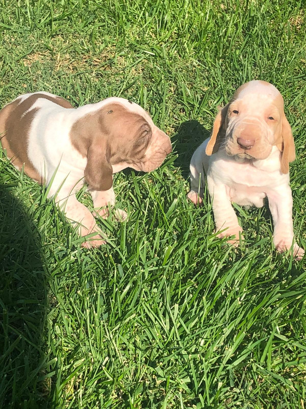 DCDE04A2-F49C-431F-80DD-9FD75A6069EA