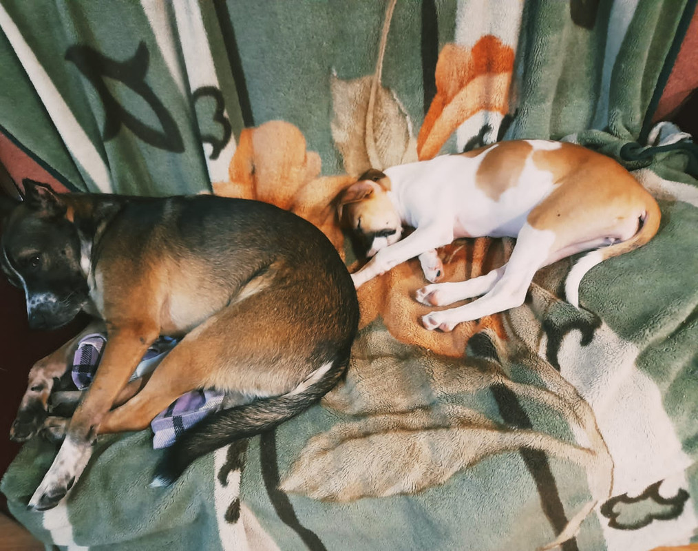 18C81C4E-FAC7-40EA-86BE-6E9C4E9B4783