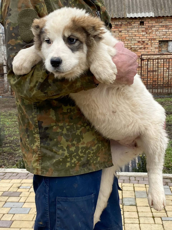 A0B87521-BECD-4810-BE4F-BBDDC53093D7