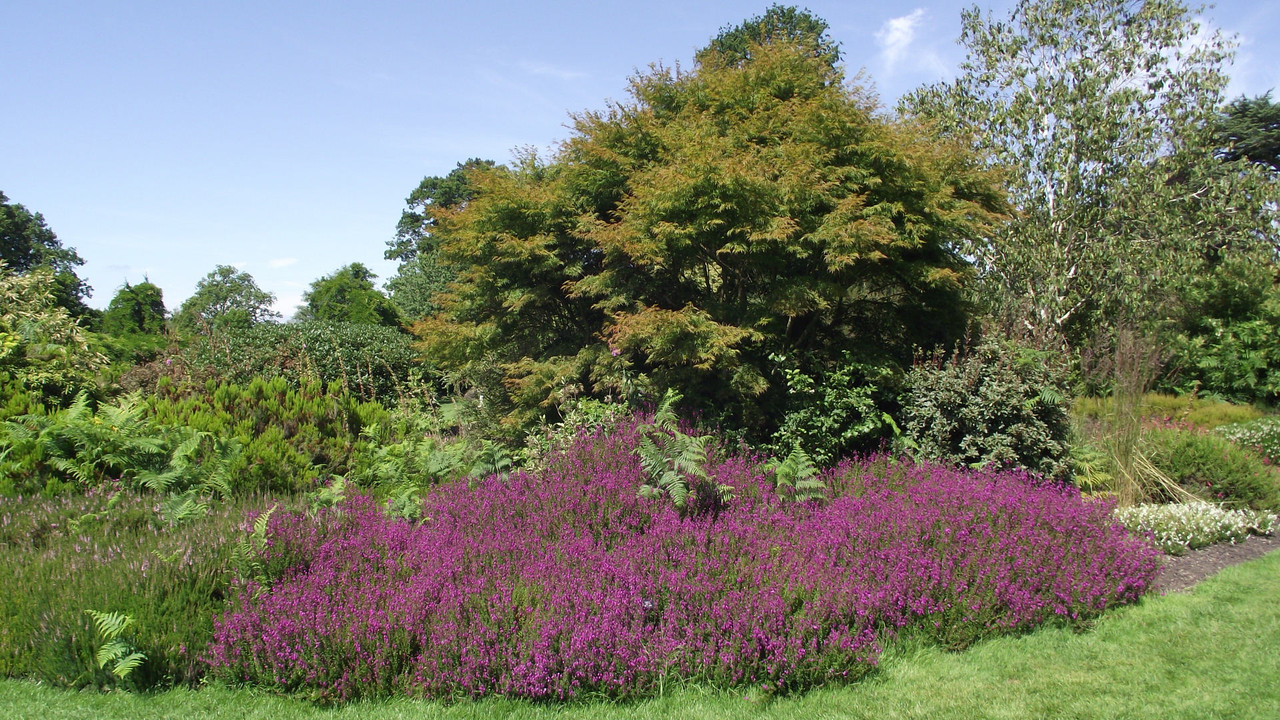 [Image: 2014-07-16-Nymans-14-grass-path-2.jpg]