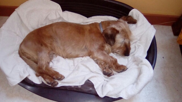 [Image: image15921529508241.jpg]