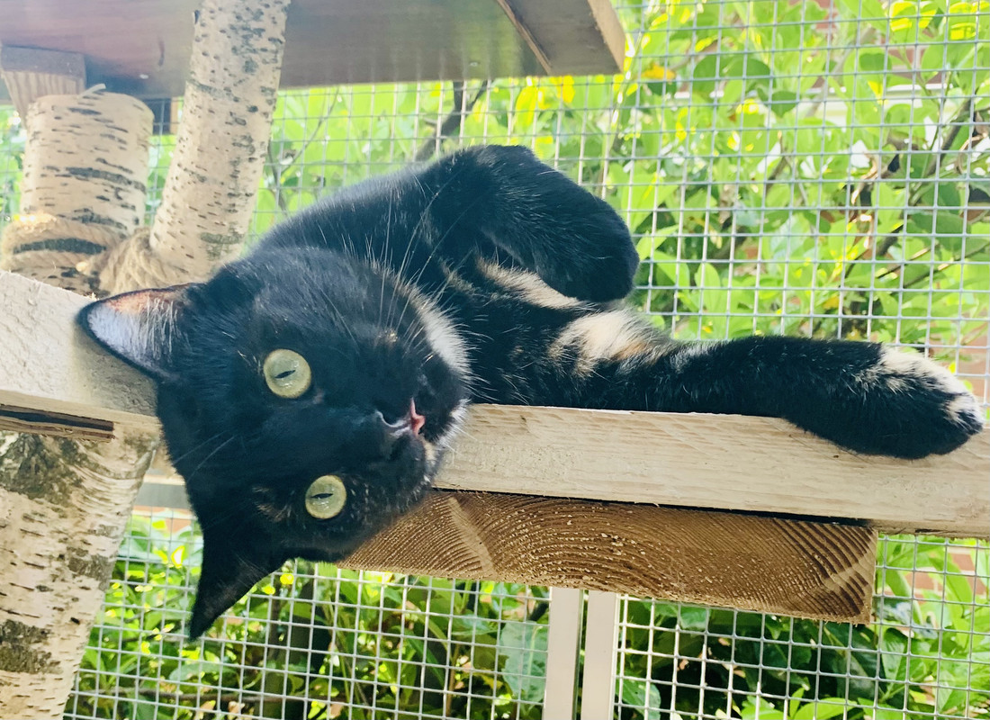 015653A4-40A2-491F-947A-F0C3FB5C38F4