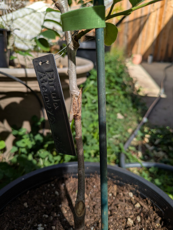 PXL_20250907_223619300