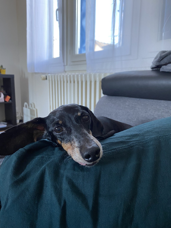 [Image: IMG-4747.jpg]