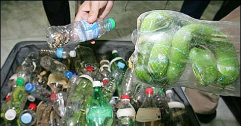 Se roban una Guacamaya del zoológico de Tlaxcala, nadie se dio cuenta