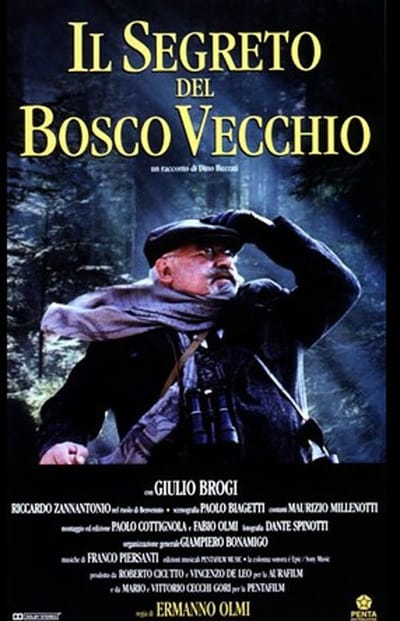 Il segreto del bosco vecchio (1993)  avi DVDRip DivX MP3 - ITA