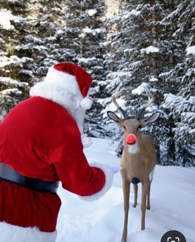 Screenshot_20240105_213213_Pinterest