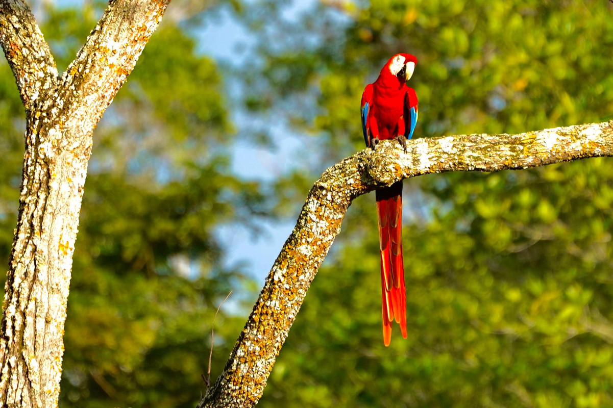 39FFD1E0-4C24-4277-8284-0BD3CAC05B9A