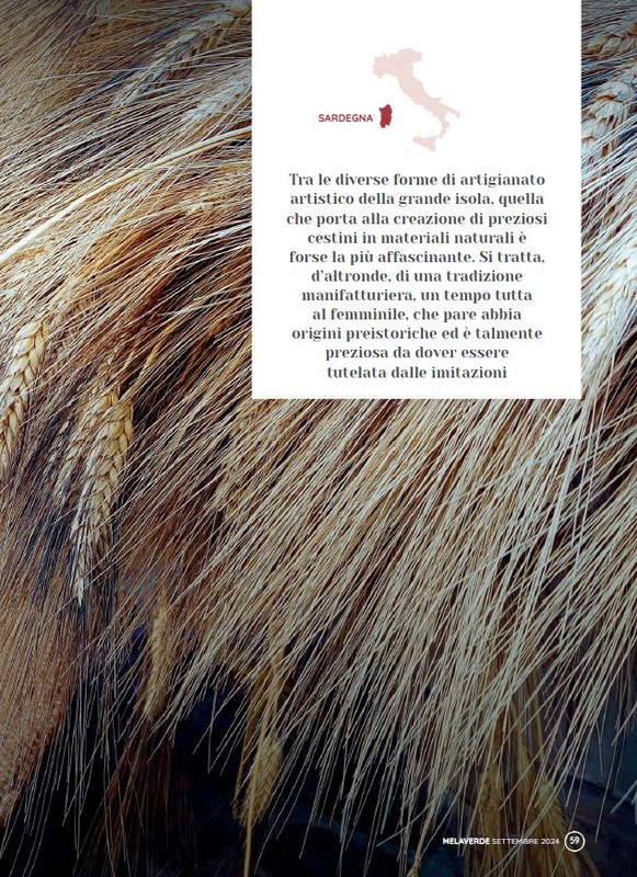 melaverde Set 2024 (12)