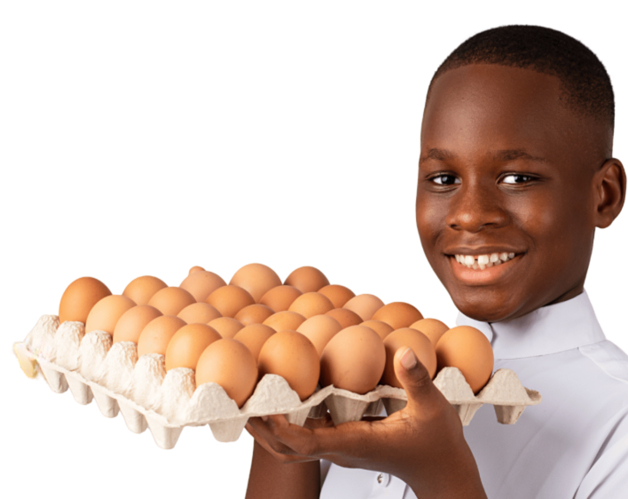 Farm Fresh Eggs