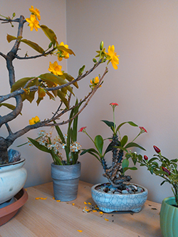 [Image: WP-20160121-005.jpg]