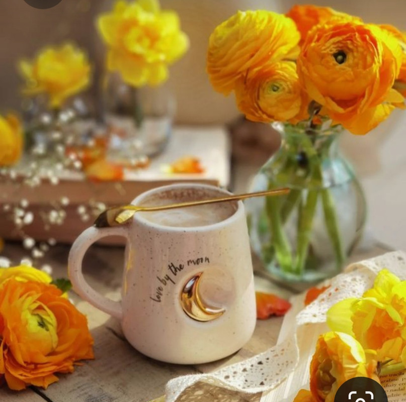 Screenshot_20230330_003412_Pinterest