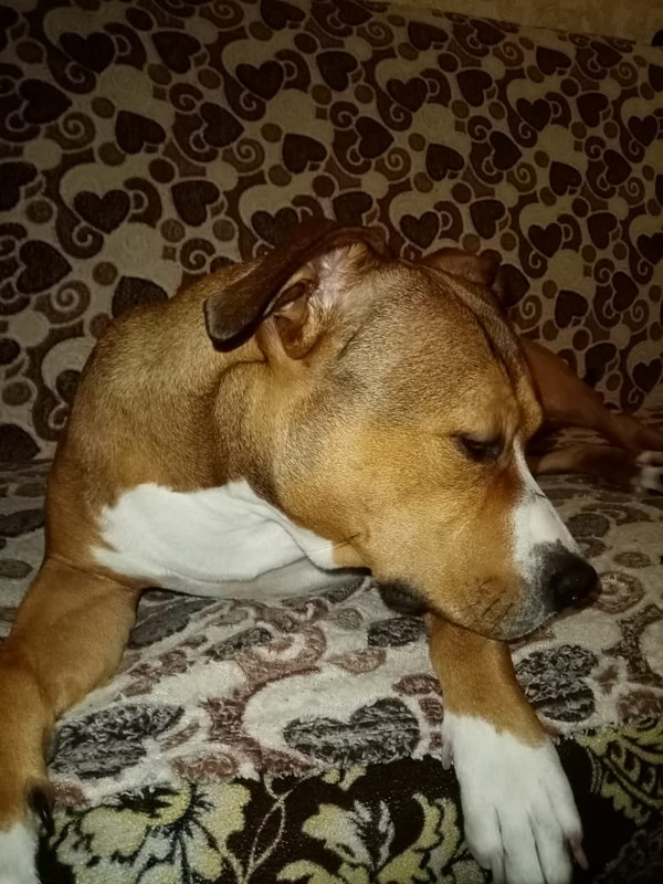 B1E959EF-D28C-45B0-86A6-DD18A66C1190