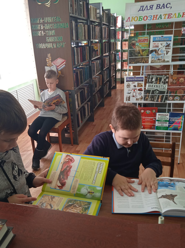 IMG_20221019_153944_1