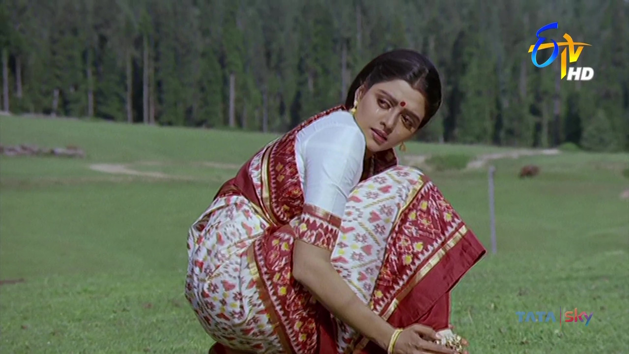 vlcsnap-2021-04-22-15h24m44s027