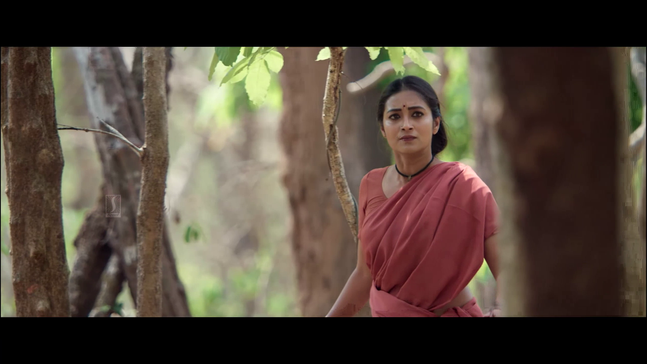 vlcsnap 2025 11 02 13h50m48s658